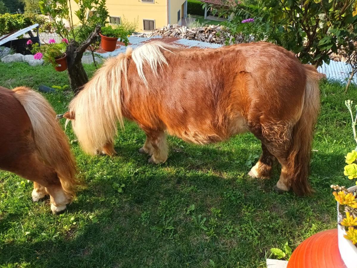 Casa De Ferrapilhe Villa Paranhos  Eksteriør billede